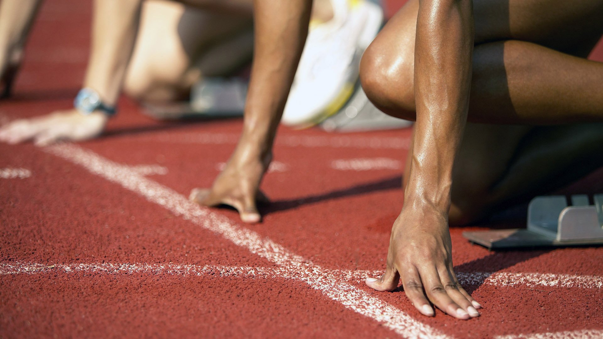 中国跳水队包揽世锦赛全部金牌,展现绝对统治力