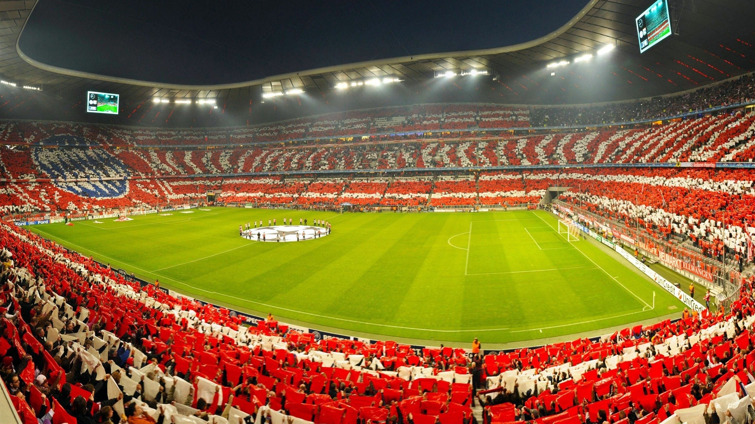 中国跳水队包揽世锦赛全部金牌,展现绝对统治力